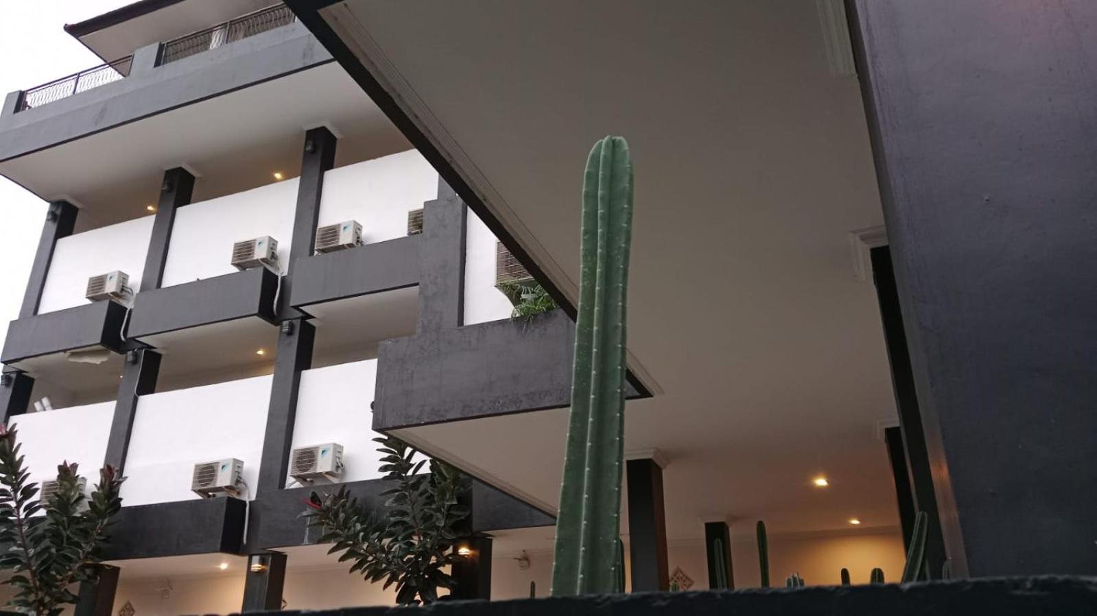 Nomad Hub 坎古 外观 照片